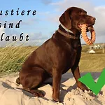 شقة Frauenpreiss