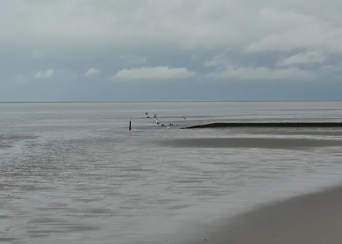 Frauenpreiss Cuxhaven